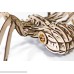 EWA Eco-Wood-Art Model Spider 3D Wooden Puzzle Eco Friendly DIY Mechanical Rubber-Band Motor Self-Assembly Without Glue B07KPNW6MT